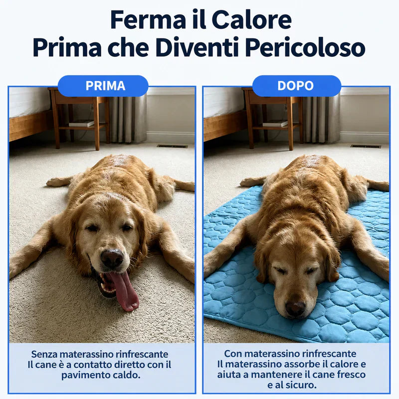 Tappetino Rinfrescante Cani | Estate Serena